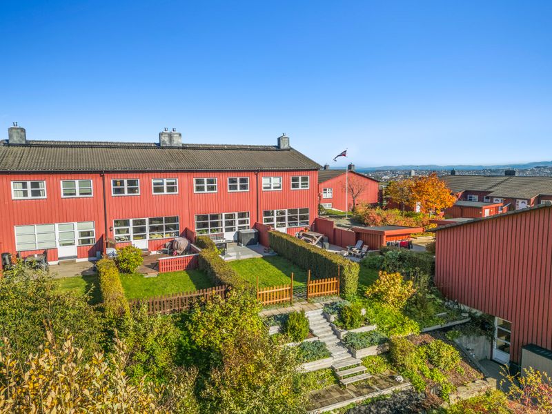 Høgreina 234