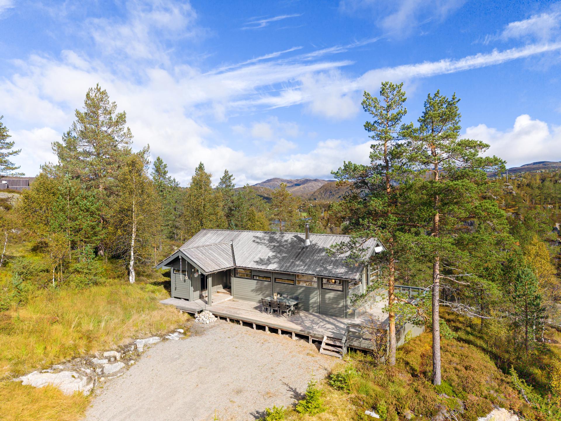 Naturlig vegetasjon rundt hytta, og et stavtak unna skiløypa i Foråsen.. Bilde nummer 3 av 3