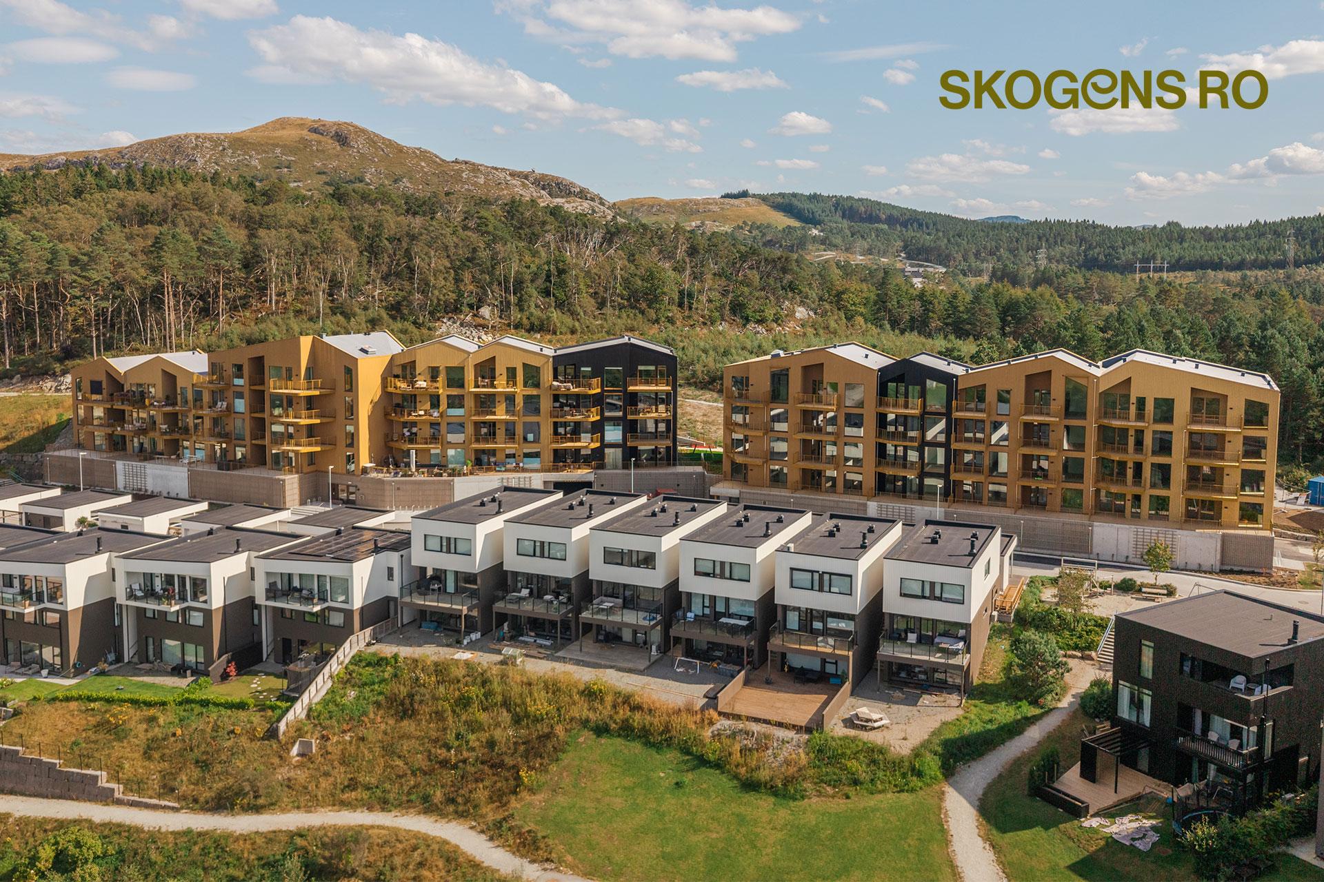 Skogens ro. Bilde nummer 3 av 3