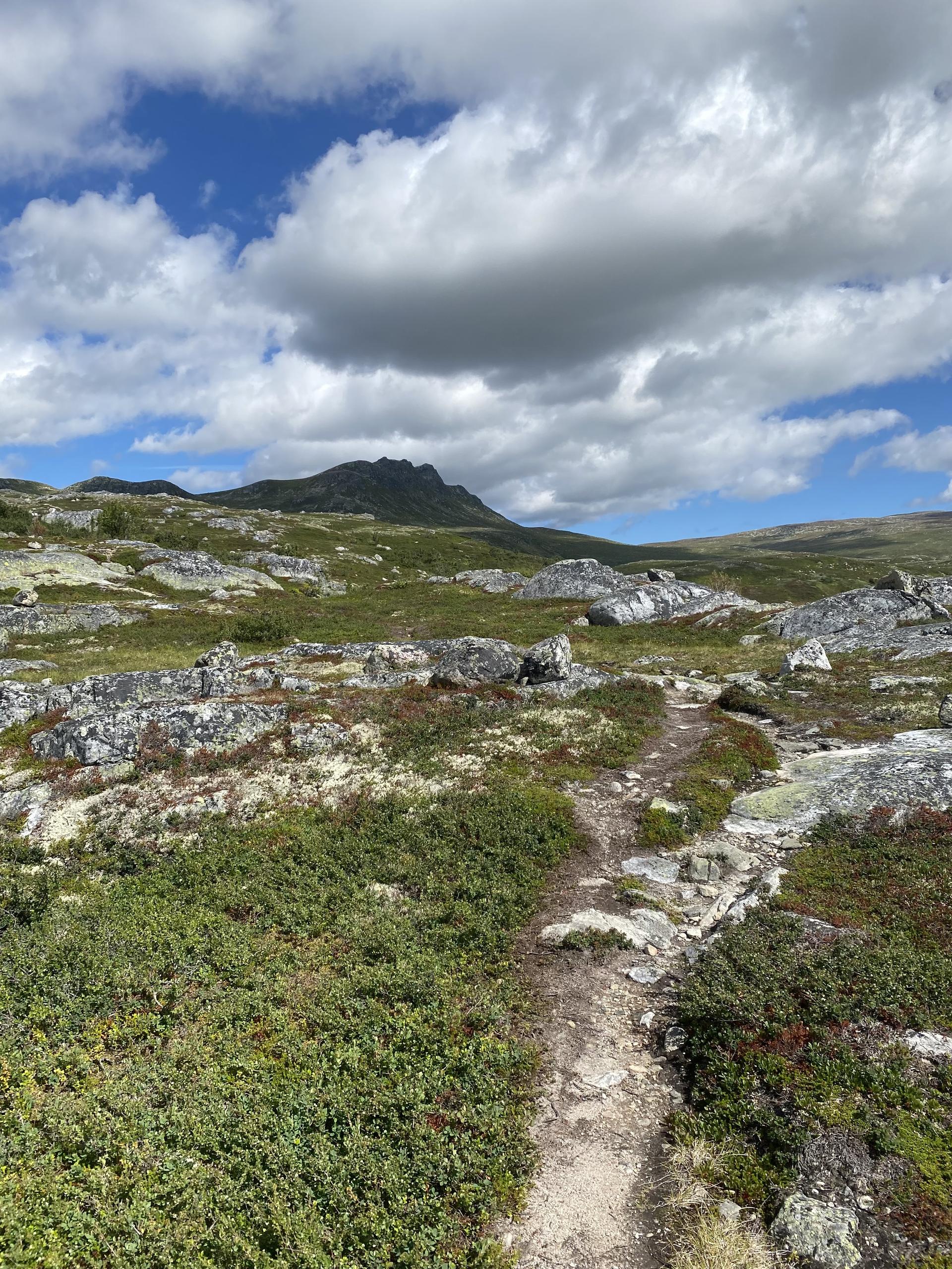 Drømmer du om frisk fjelluft, spektakulær natur og ekte norsk hyttekos? Tempelseter er eldorado for deg som elsker fjellet!. Bilde nummer 3 av 3