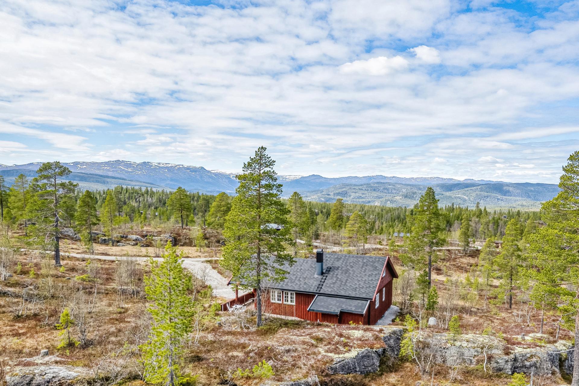 Velkommen til Kvisle Skog!. Bilde nummer 1 av 3