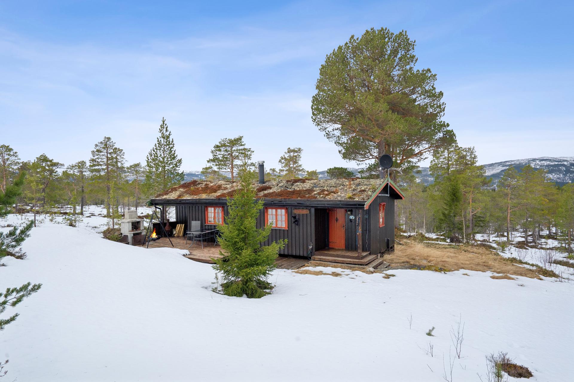 Oliver Almli Reinås v/ EiendomsMegler 1 presenterer: Nekkåbjørga 276.. Bilde nummer 1 av 3