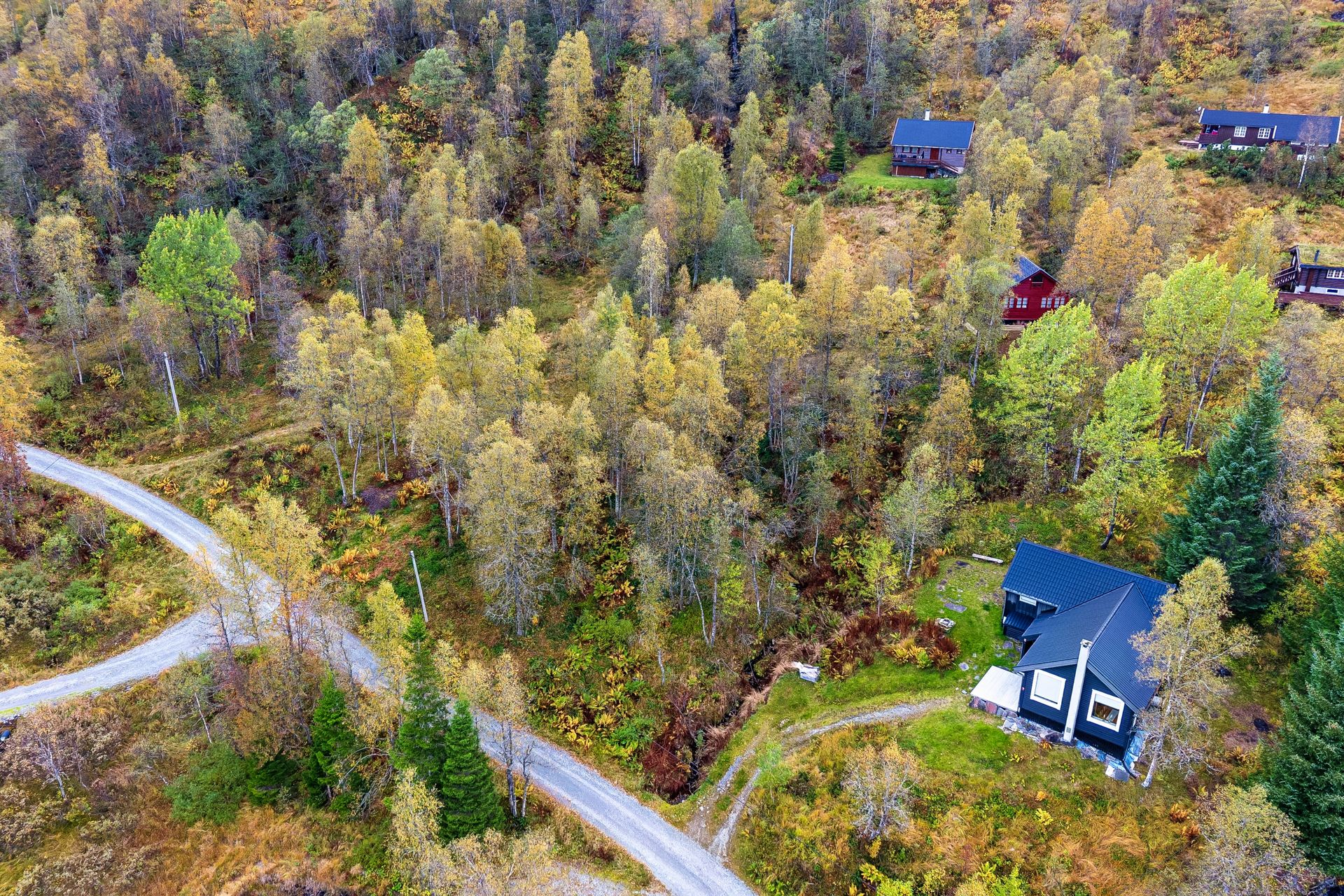 Velkommen til en flott tomt på cirka 817 m² like ved traseen til Mødal. Foto av Synne Råsberg v/Efkt.. Bilde nummer 1 av 3