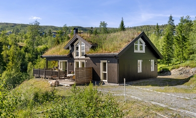 Bilde av eiendommen