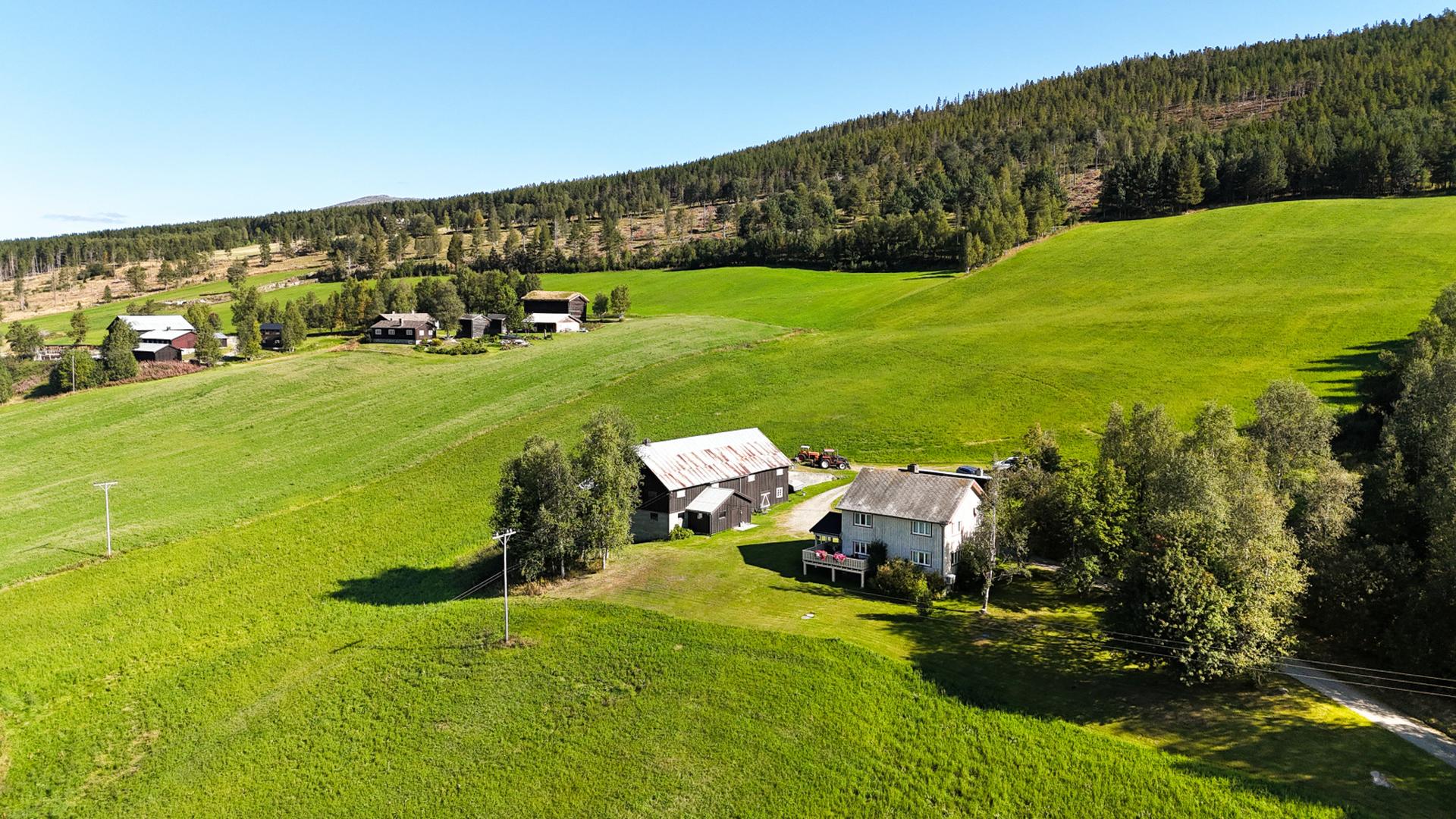 Eiendommen er konsesjonspliktig og ligger innenfor odelslovens virkeområde. . Bilde nummer 2 av 3