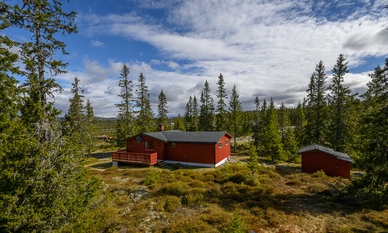 Bilde av eiendommen