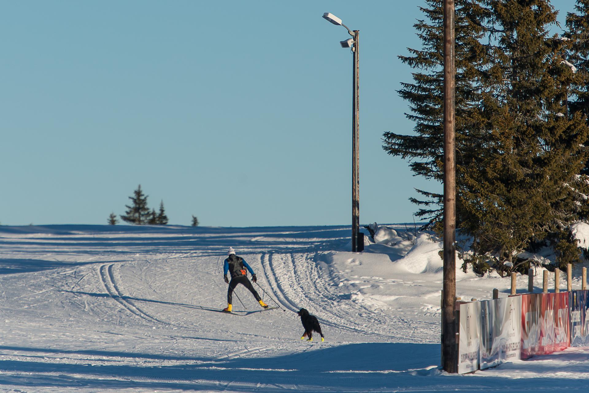 Kort og umiddelbar nærhet til Sjusjøens omfattende løypenett. Her kan du gå nærmest rett ut i Birkebinerløpya. Meget familievennlig! . Bilde nummer 3 av 3