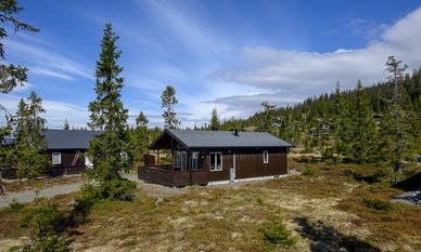 Bilde av eiendommen