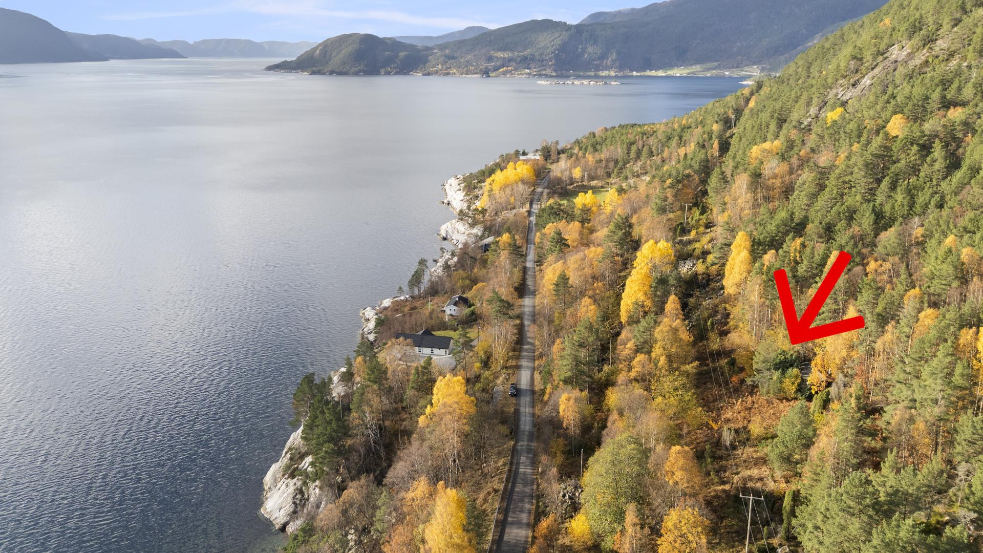 Avsnesstrand - ubebygd tomt i flotte omgivelser ved Sognefjorden. Bilde nummer 1 av 3