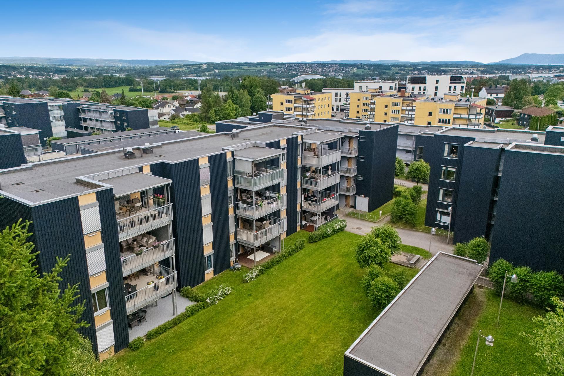Area. Bilde nummer 3 av 3