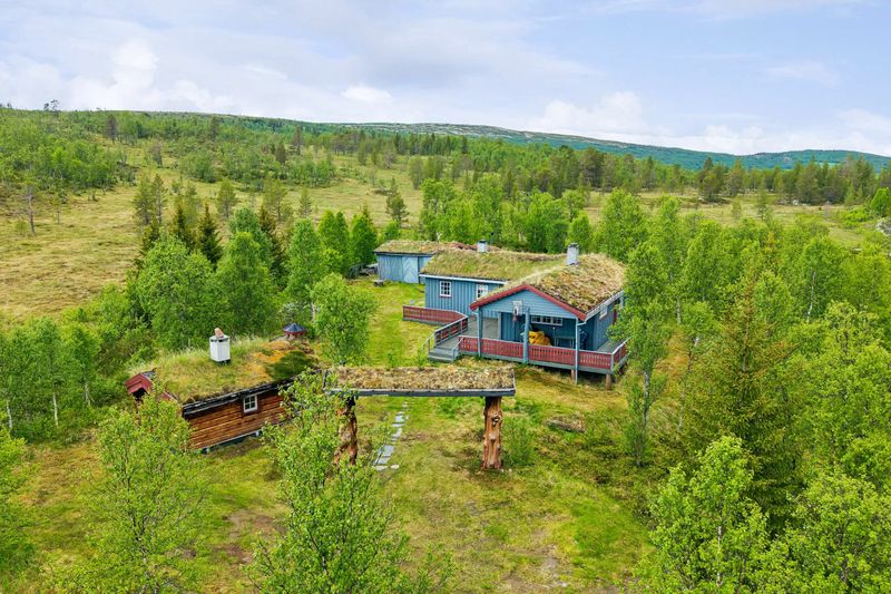 Stølen 56