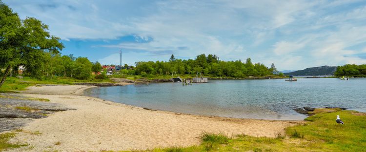 Bilde fra området