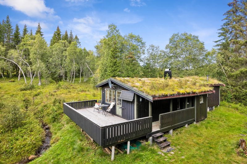 Snillfjordsveien 256
