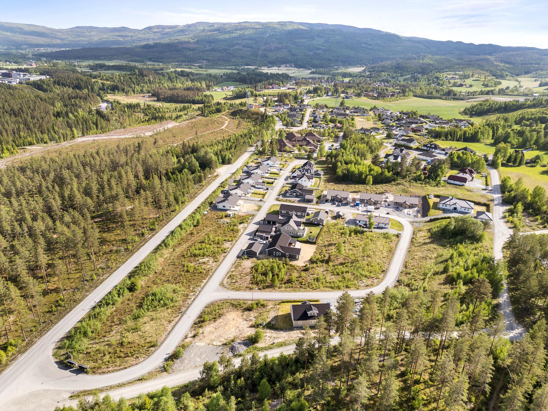 Tomtefeltet sett fra nord.. Bilde nummer 3 av 3