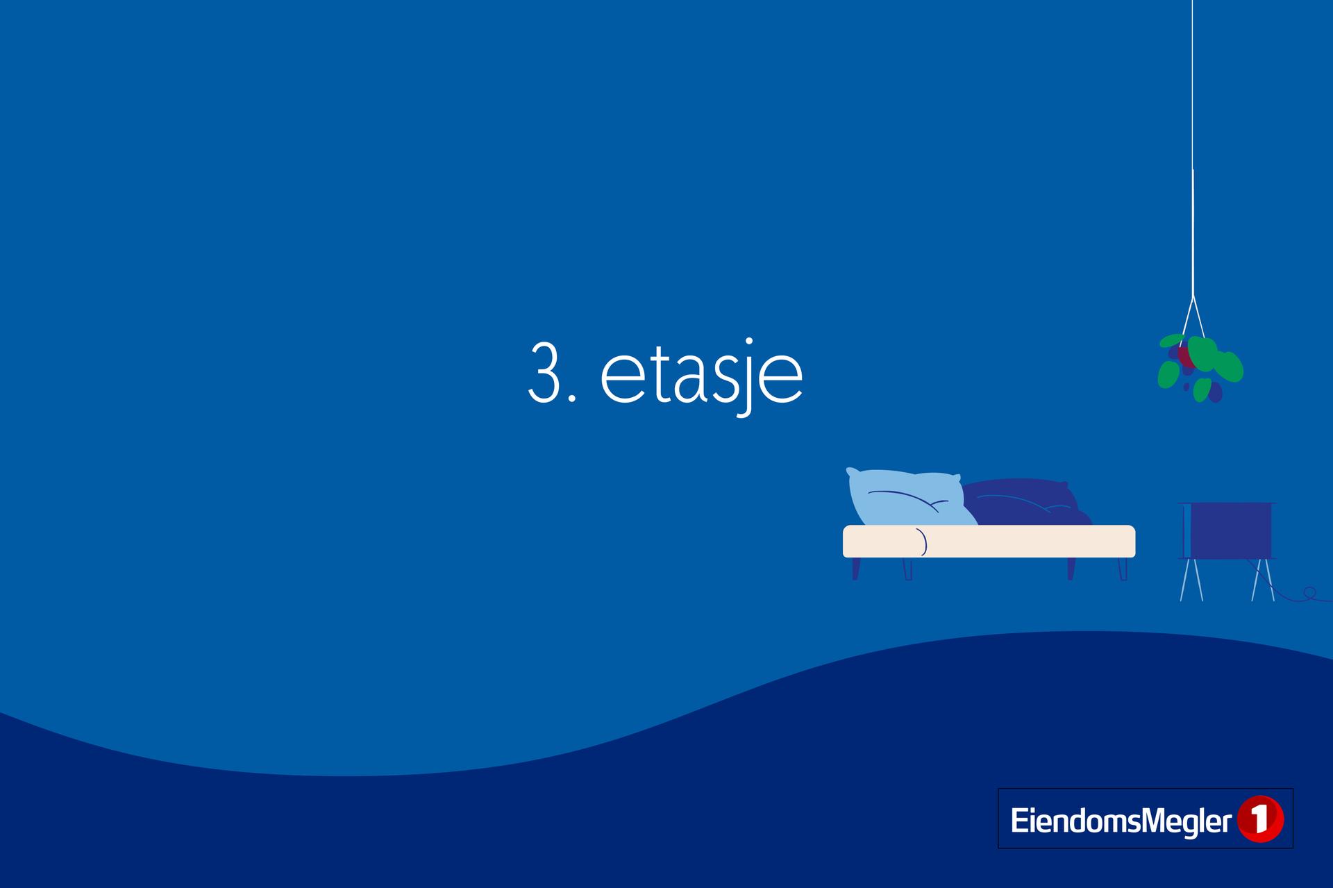  Bilde nummer 3 av 3
