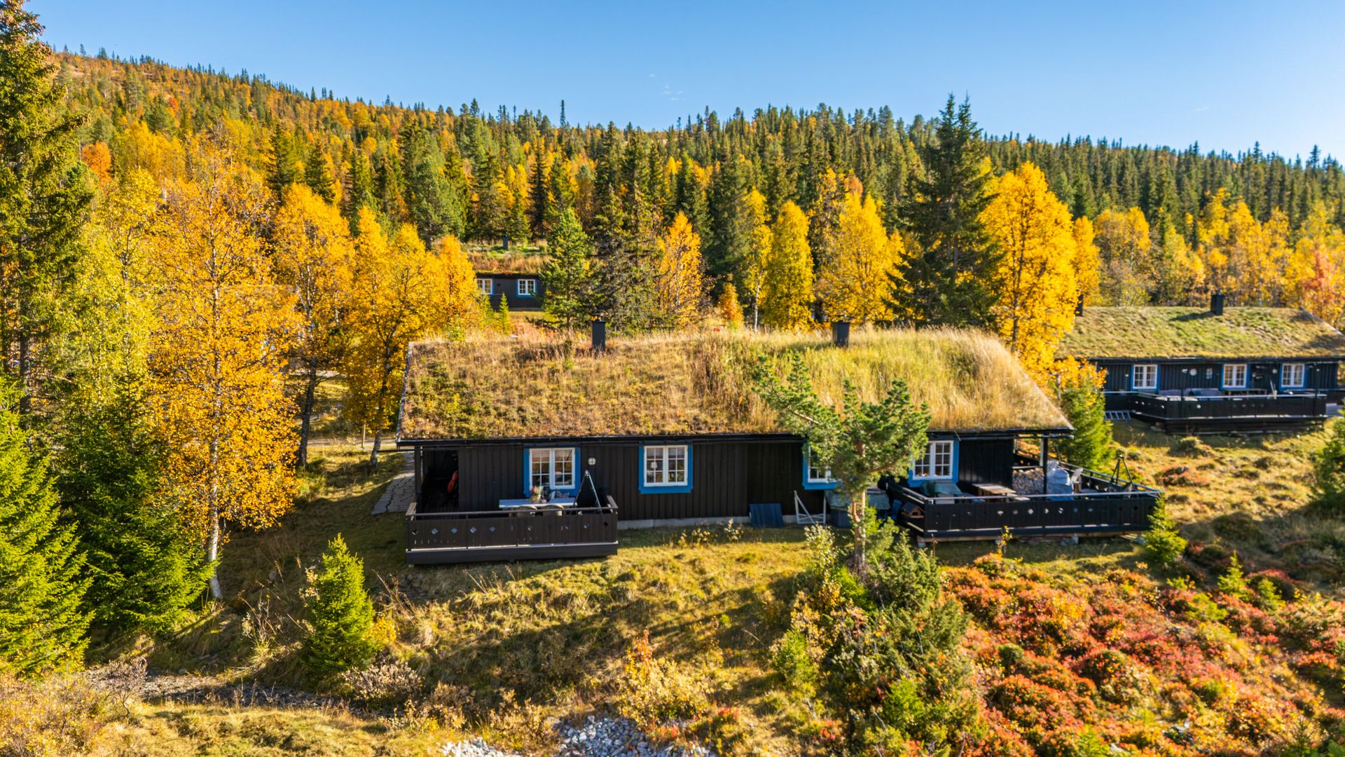 Velkommen til Blåbærvegen 79! Foto: [Blikkfang v/ Thea Roverud Rusten]. Bilde nummer 1 av 3