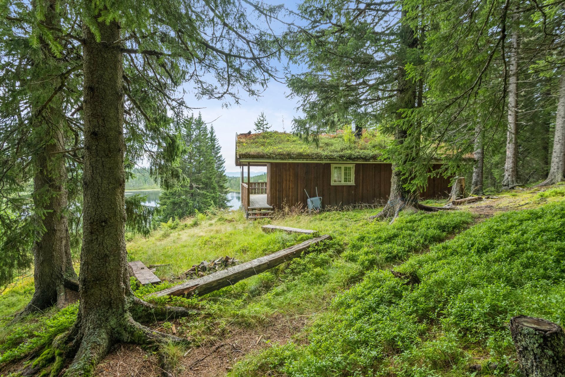 Hytta ligger i naturskjønne omgivelser, like ved Skognvulusjøen . Bilde nummer 2 av 3