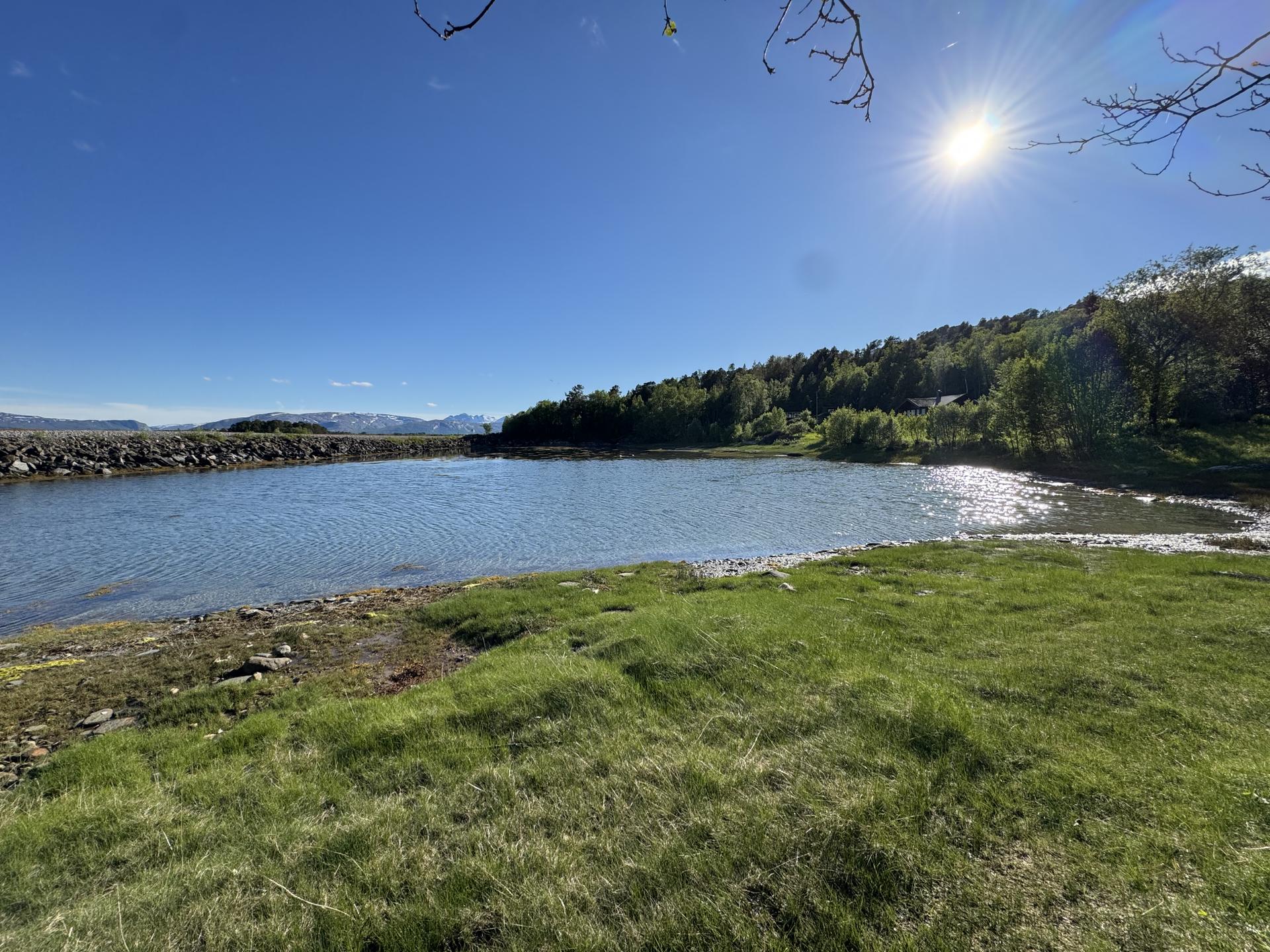 Beliggenhet ved sjøen med umiddelbar nærhet til fjæra og vanndam som selger har benyttet til bading, vannsport mm. . Bilde nummer 2 av 3