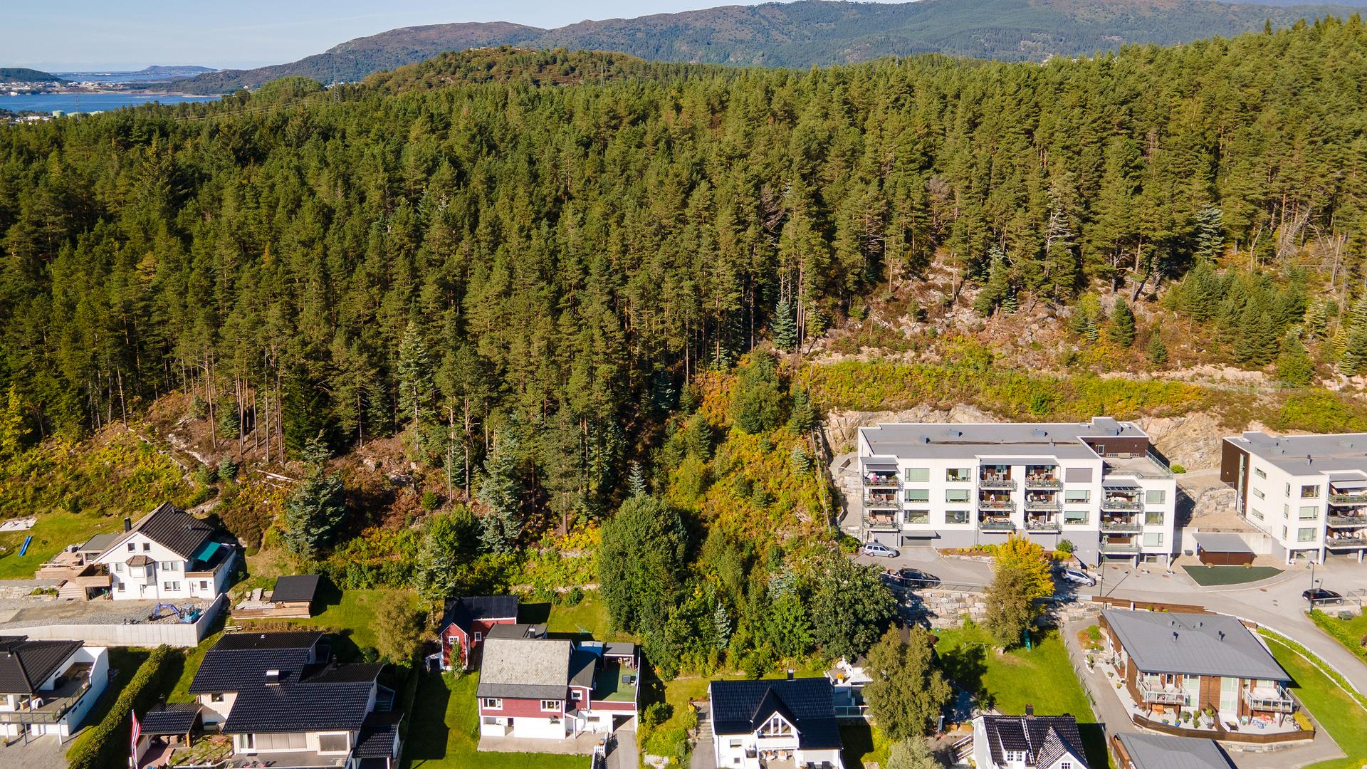 EiendomsMegler 1 har gleden av å presentere denne flotte tomta. . Bilde nummer 3 av 3