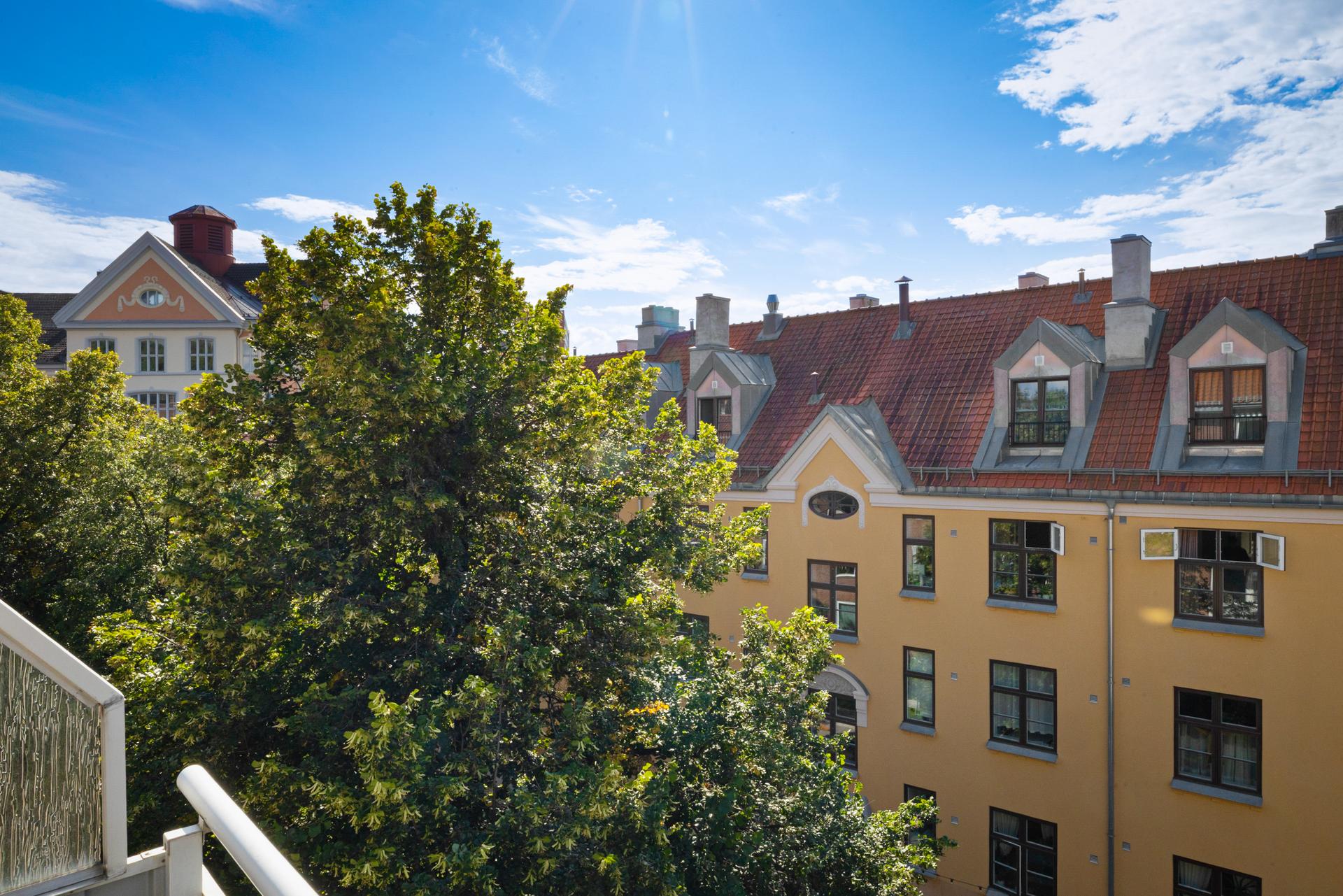 Leiligheten ligger med Botanisk hage og Tøyenparken som nærmeste naboer.. Bilde nummer 3 av 3