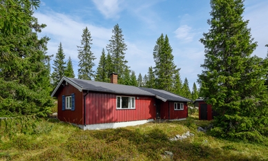 Bilde av eiendommen