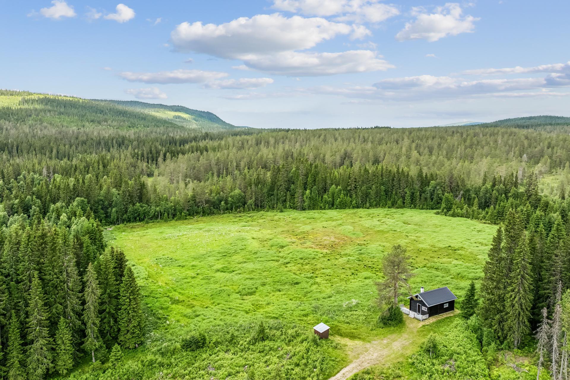 Eiendommen ligger usjenert til i skogkanten, med kort vei til Trysils helårsaktiviteter.. Bilde nummer 1 av 3