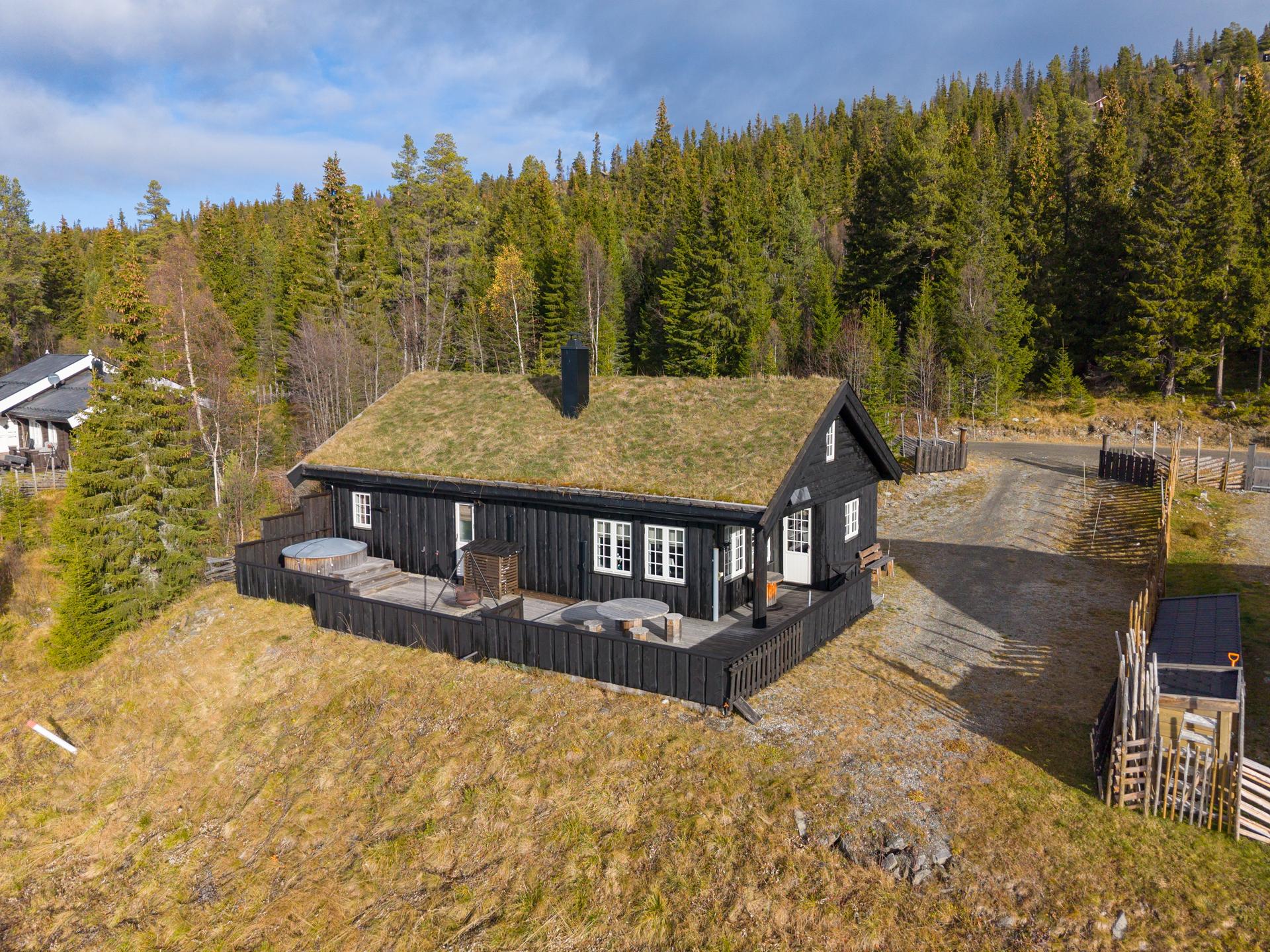 Herfra er det umiddelbar nærhet til naturen, og få meter til skiløype og alpinbakke. . Bilde nummer 3 av 3