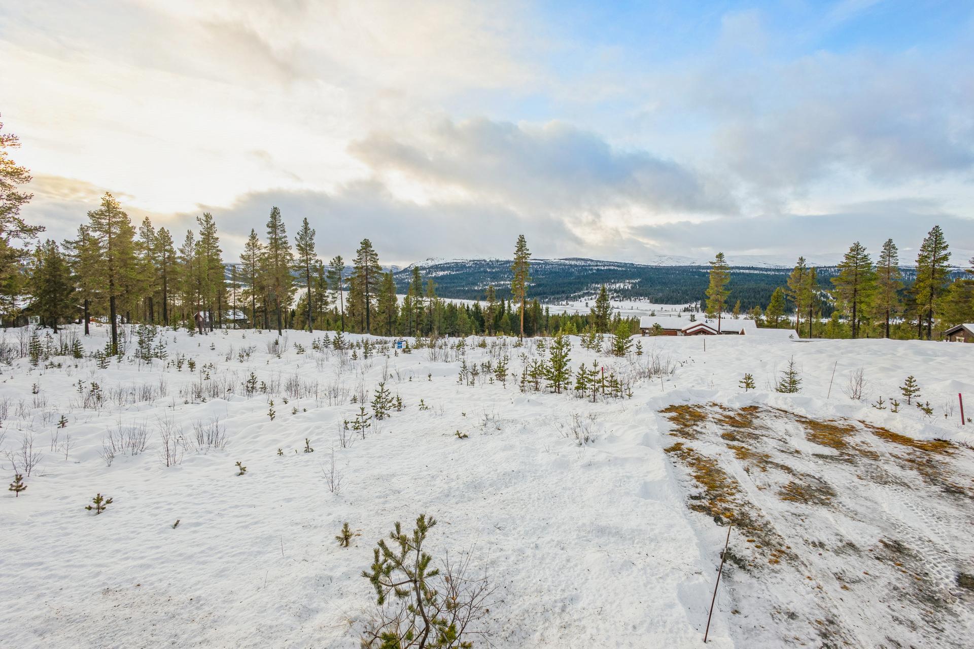 Byggeklar tomt på Gålå med utsikt mot fjellheimen. Her kan du realisere hyttedrømmen i et etablert hytteområde.. Bilde nummer 2 av 3