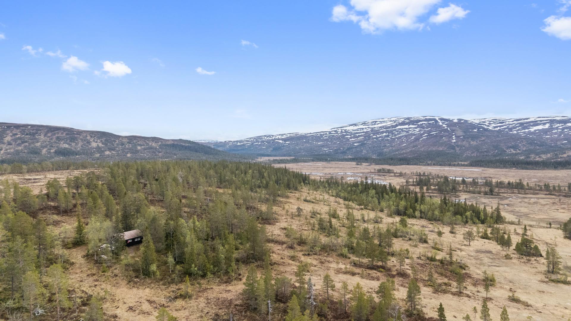 Området rundt hytta har flott natur og flotte turområder i umiddelbar nærhet. . Bilde nummer 3 av 3