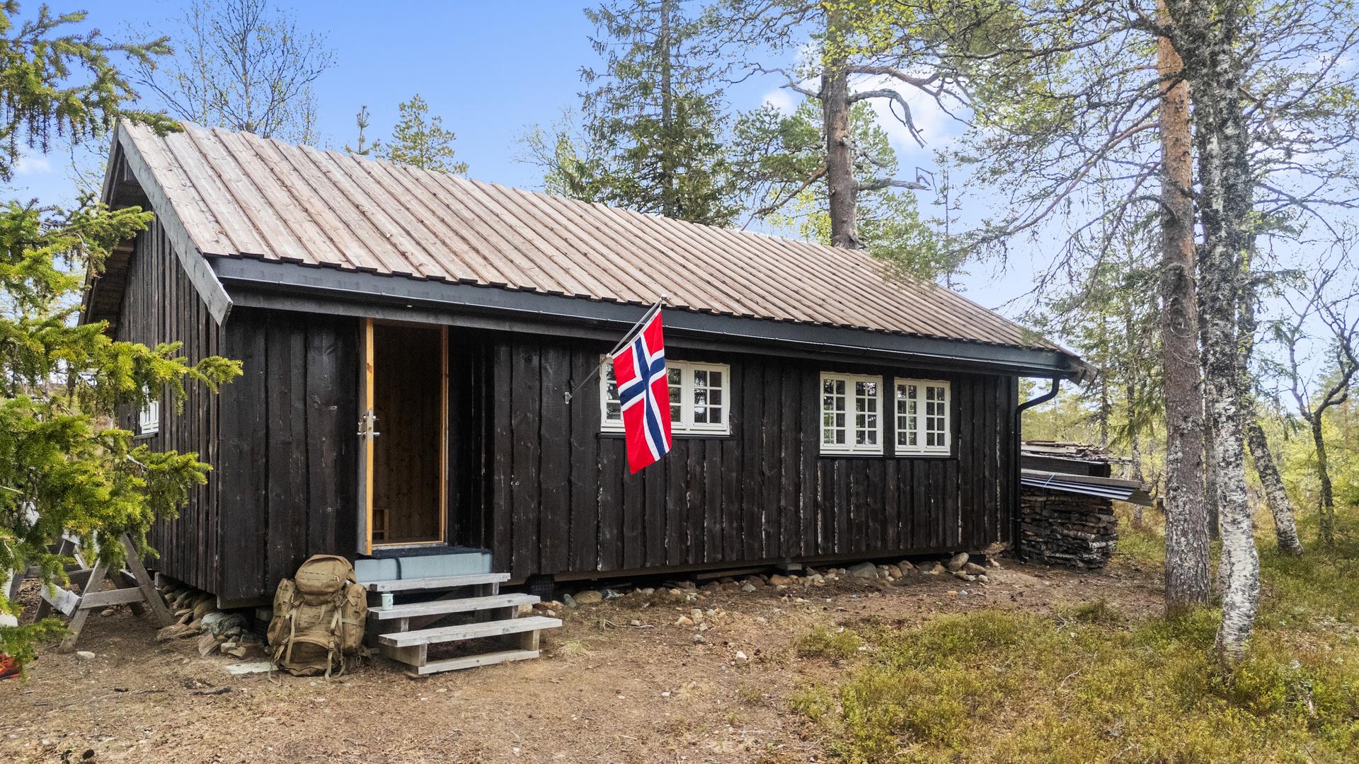 Velkommen til Reinsjølia 2! . Bilde nummer 1 av 3