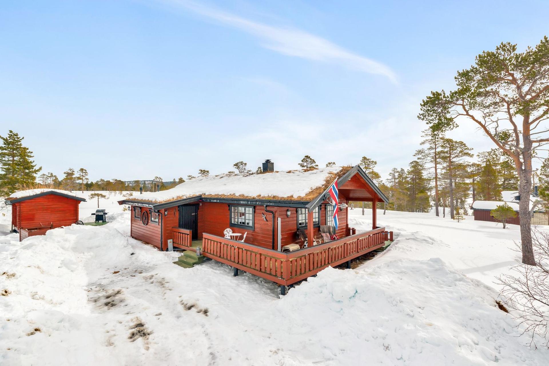 Hytta ligger i et rolig og naturskjønt område i Selbu.. Bilde nummer 3 av 3