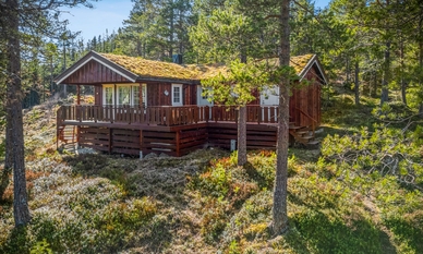 Bilde av eiendommen