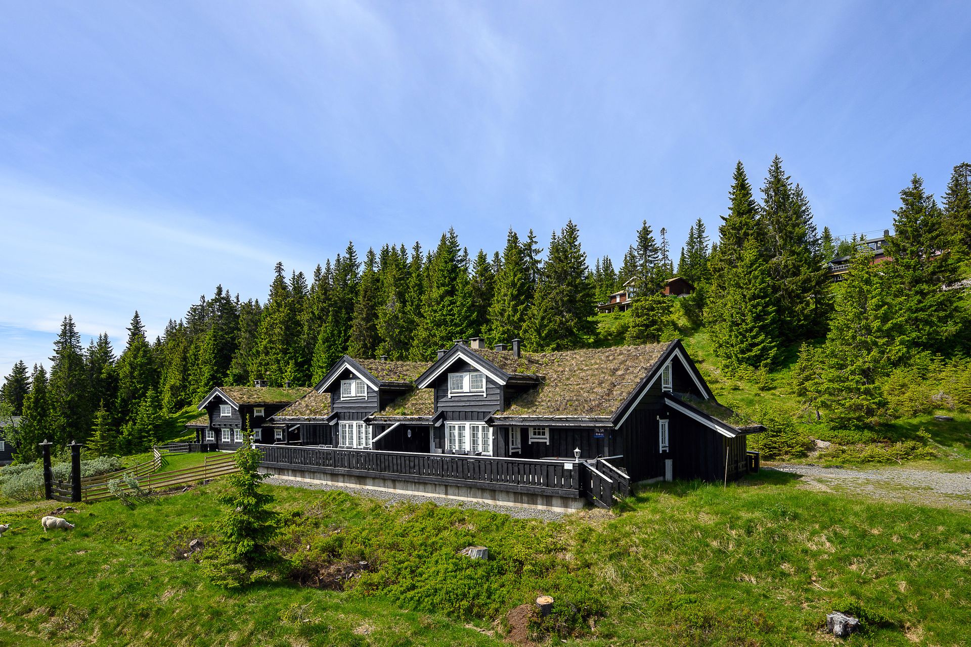 Velkommen til Øvre Heggberglia 55A! Foto: Lars Marius Bækkevold.. Bilde nummer 1 av 3