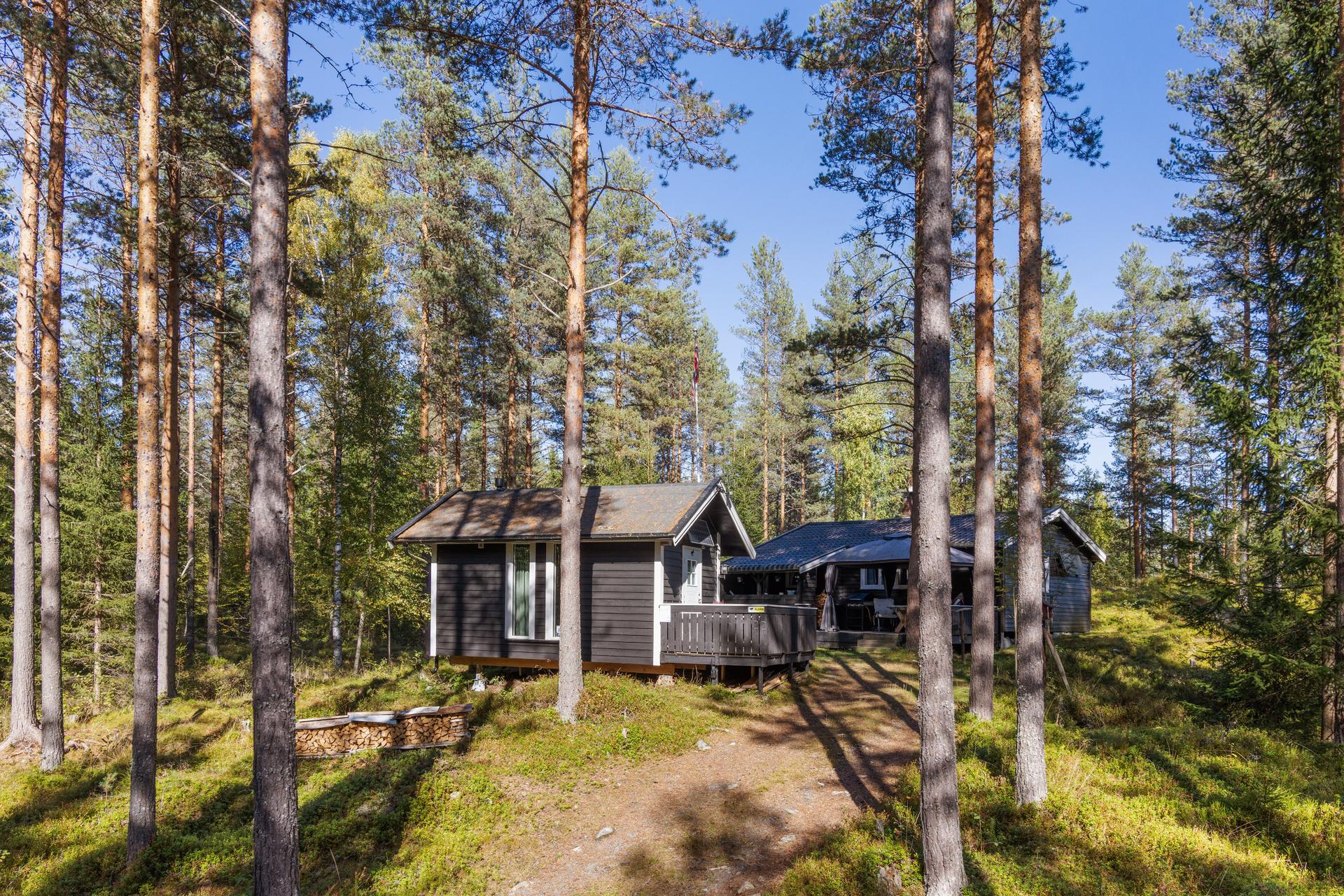 Eiendommen ligger usjenert til i furuskogen på en kupert naturtomt.. Bilde nummer 3 av 3