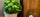  Bilde nummer 3 av 3