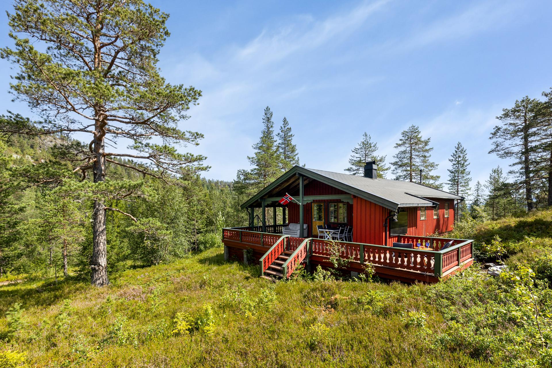 Hytta ligger usjenert til, omgitt av skog og natur. . Bilde nummer 3 av 3