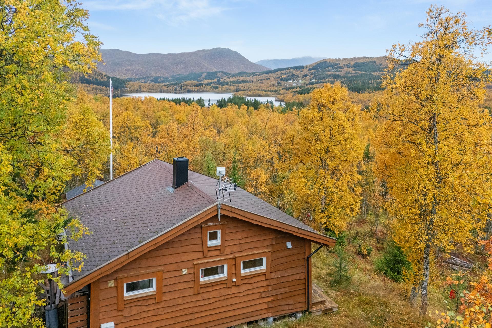 Fritidsbolig med villmarkskledning fra 2002, oppført i naturskjønne omgivelser.. Bilde nummer 2 av 3