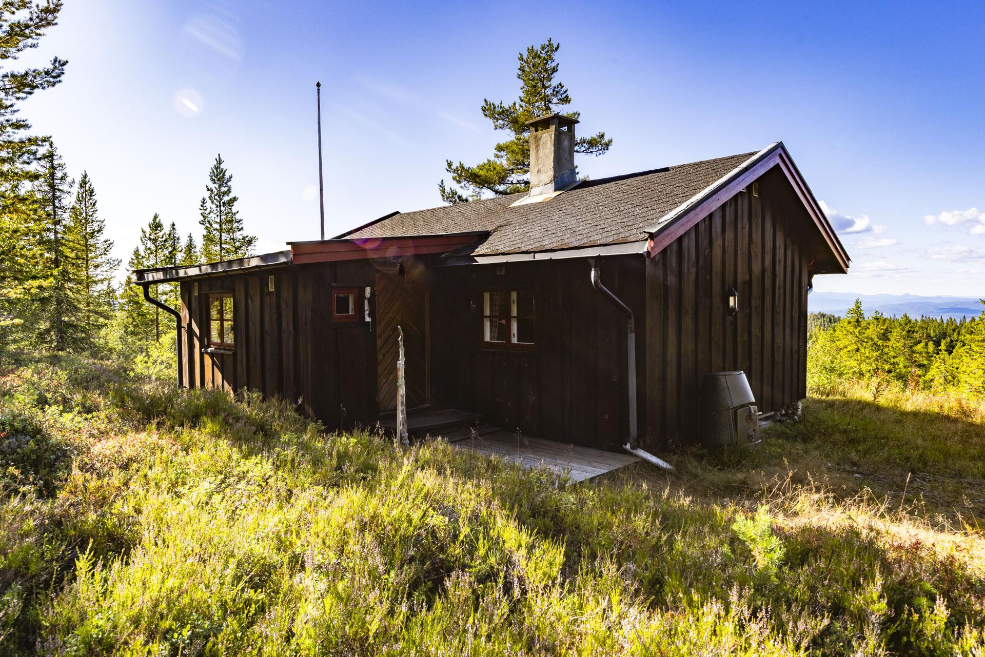 Inngangspartiet har adkomst via en treplatting anlagt inntil hytteveggen.. Bilde nummer 3 av 3
