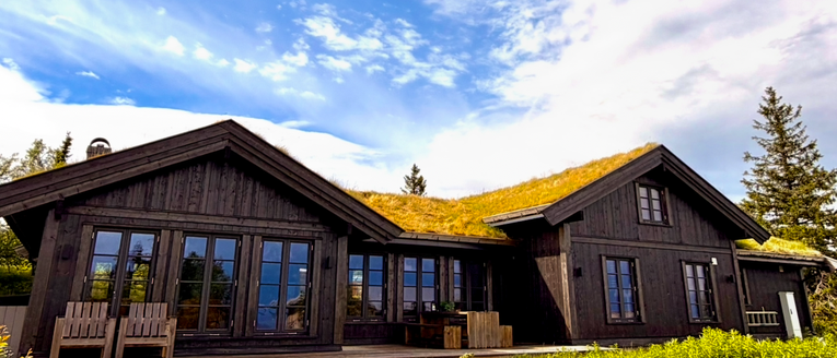 Juuls veg 3, TRYSIL - View 3