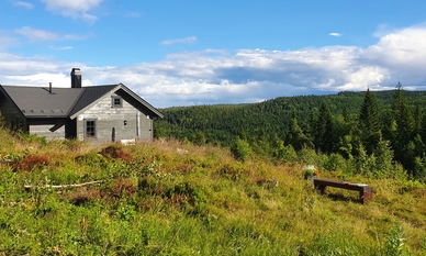 Bilde av eiendommen