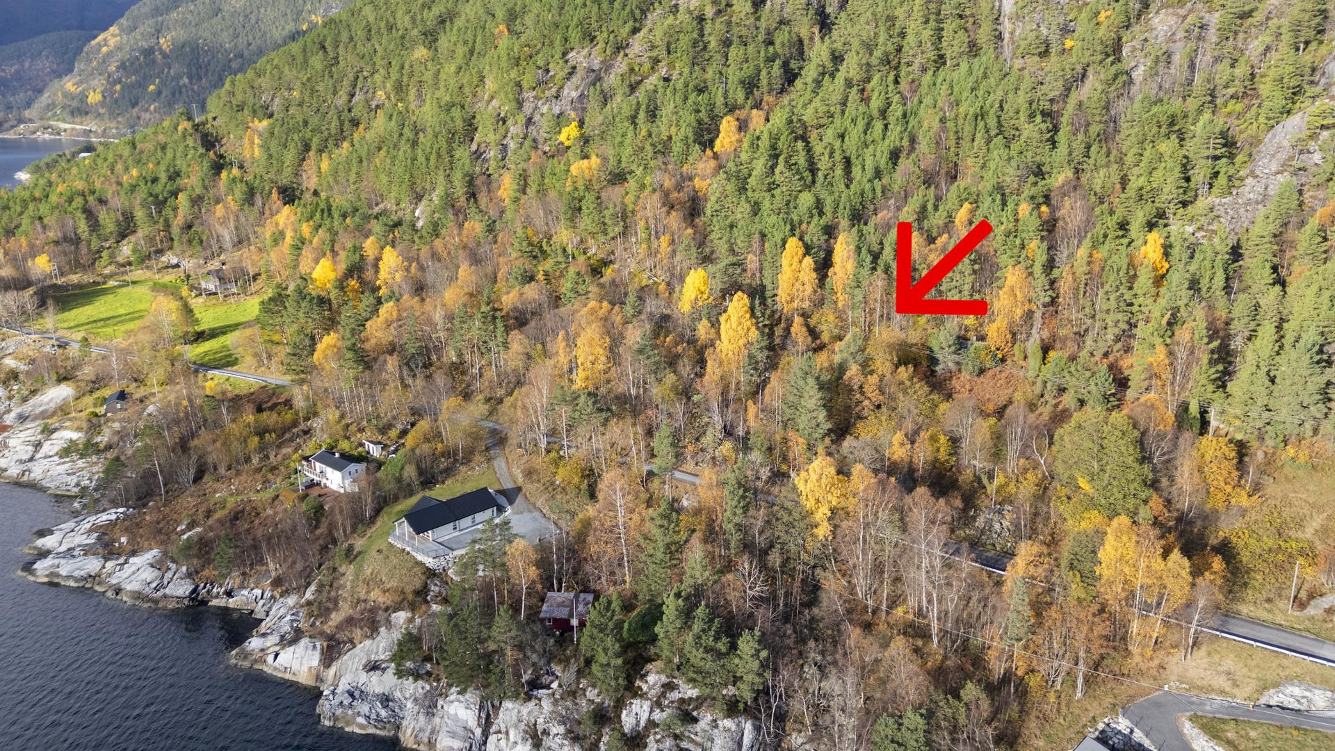 Tomta ligg på oppsida av offentleg veg og er ikkje opparbeida. Bilde nummer 2 av 3
