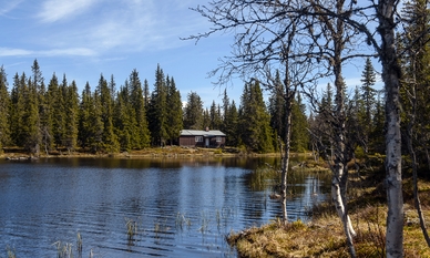 Bilde av eiendommen