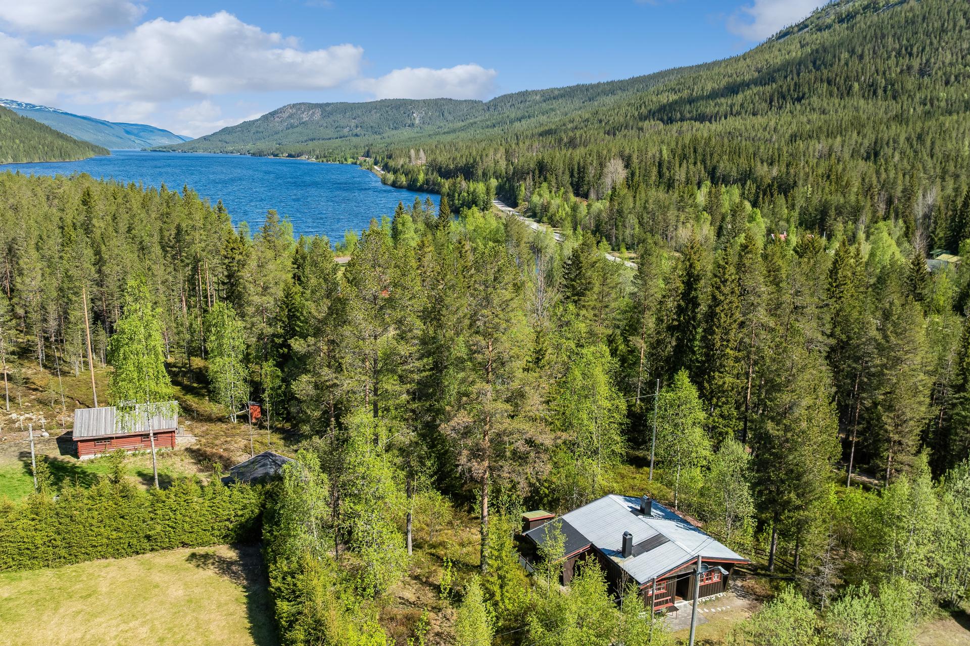 Eiendommen består av en inngjerdet, sydvendt naturtomt. I bakgrunnen sjøen Engeren.. Bilde nummer 2 av 3