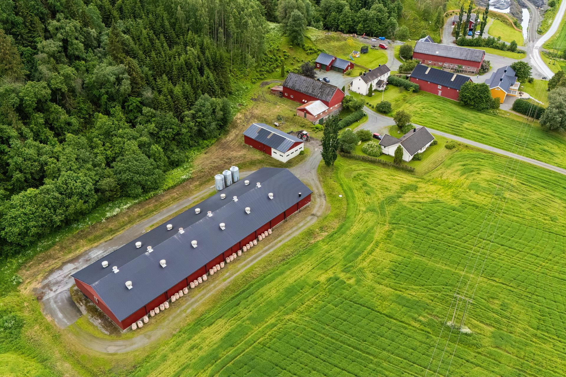 Oversikt over kyllingfjøs. . Bilde nummer 3 av 3