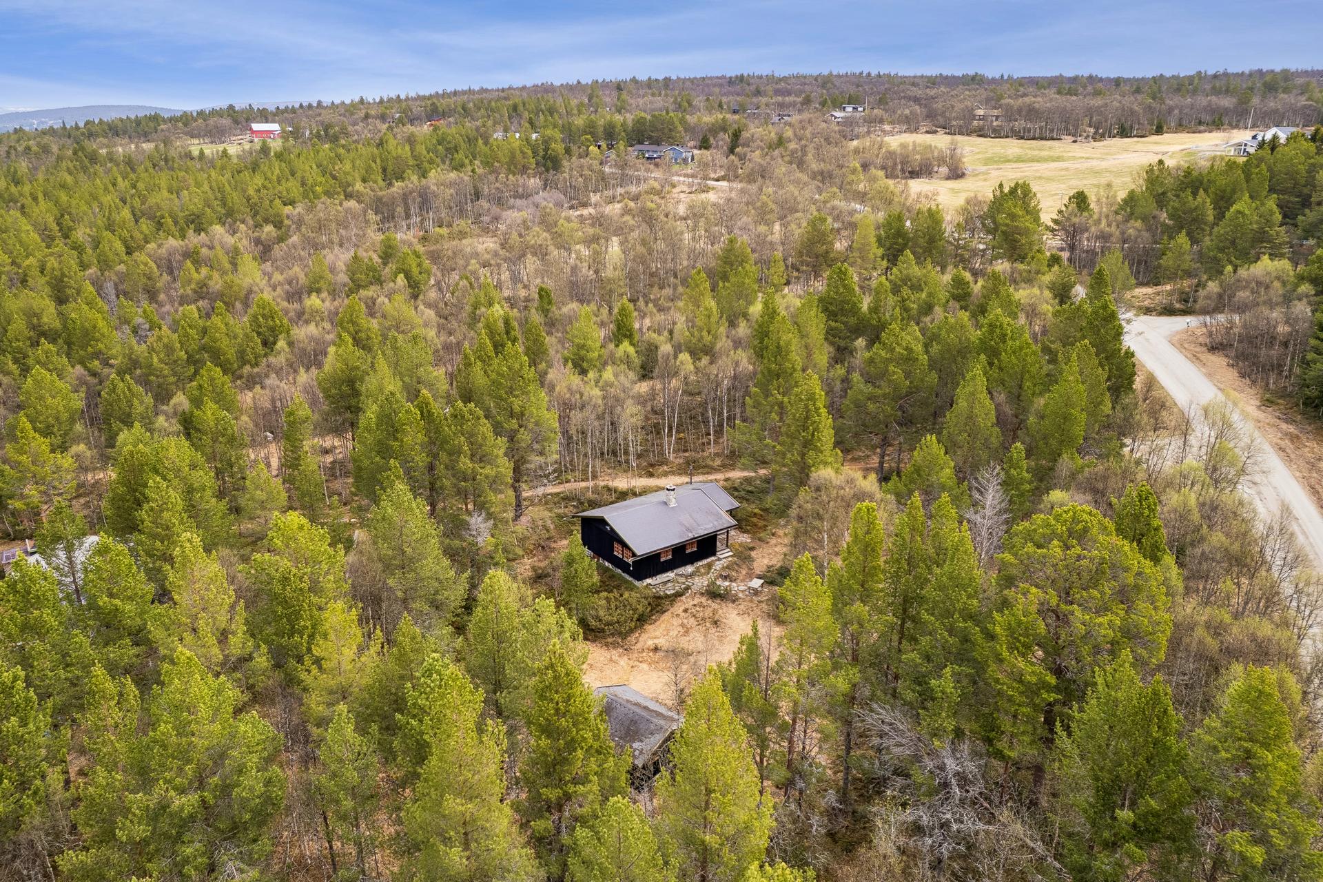 Hytta ligger i naturskjønne omgivelser i øvre del av Hånesåsen.. Bilde nummer 3 av 3