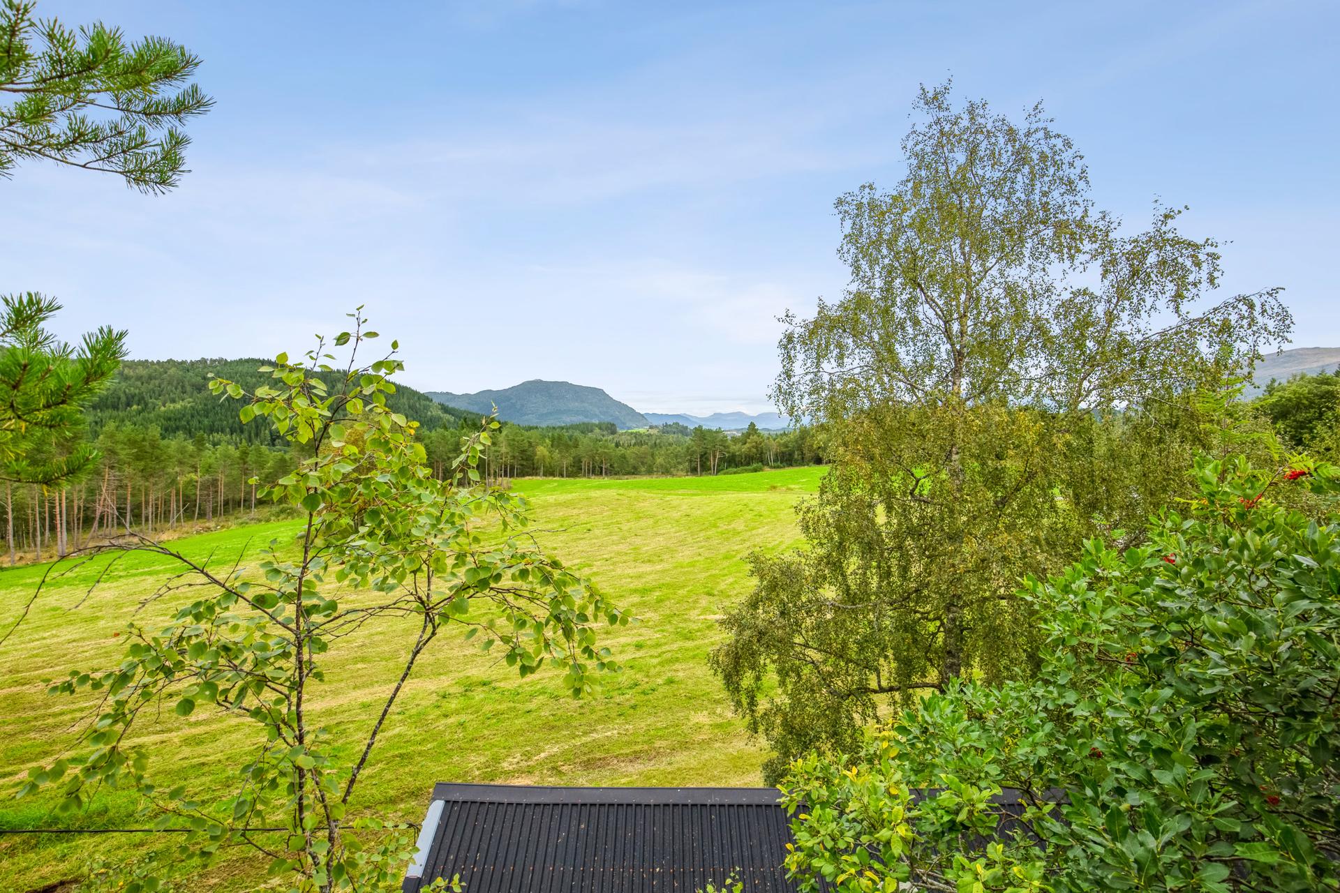 Utsikt fra eiendommen. Bilde nummer 3 av 3