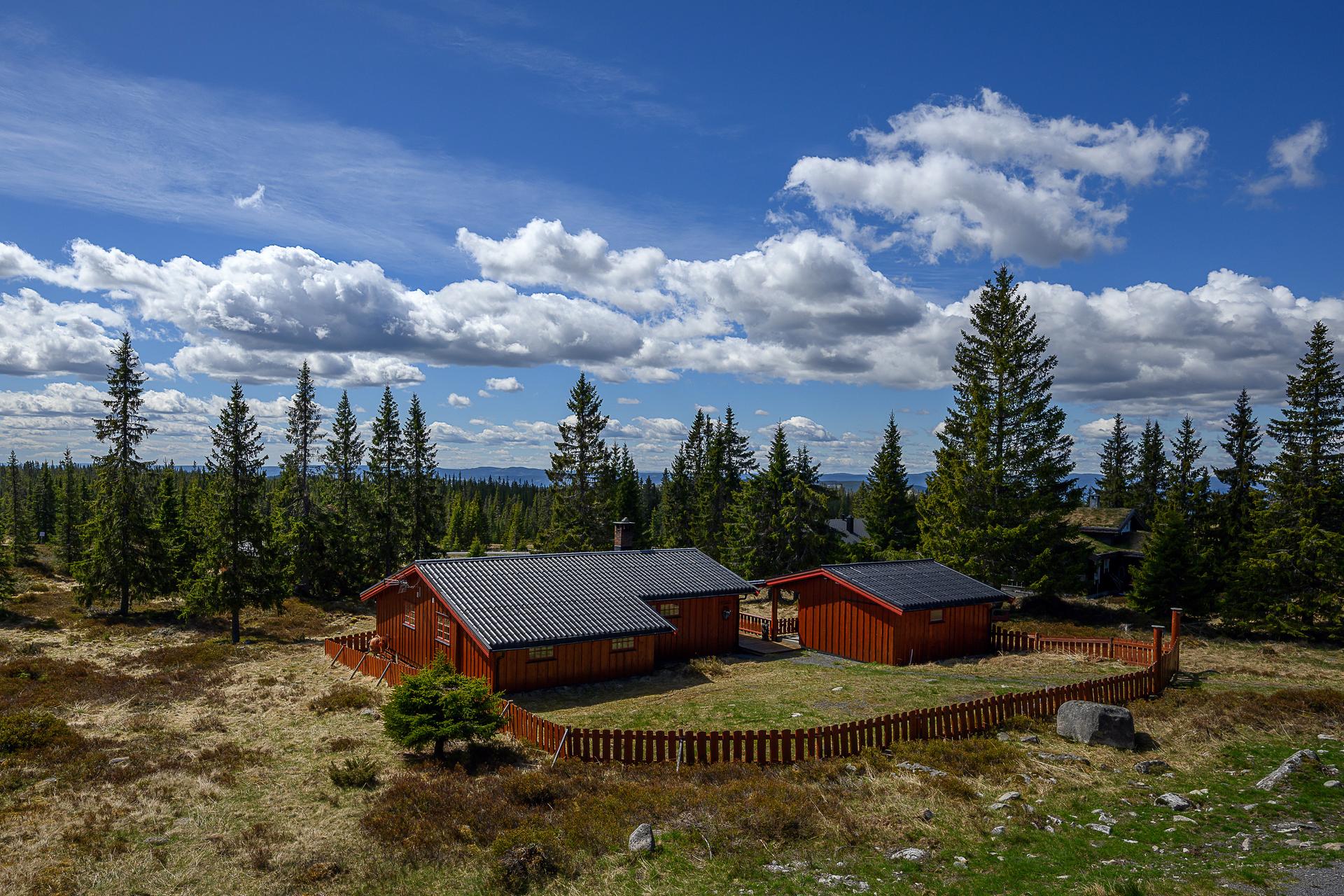 Hytta ligger i et populært hytteområde på Sjusjøen, med langrennsløyper rett i nærheten.. Bilde nummer 2 av 3
