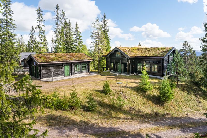 Trysilfjell hytteområde 880