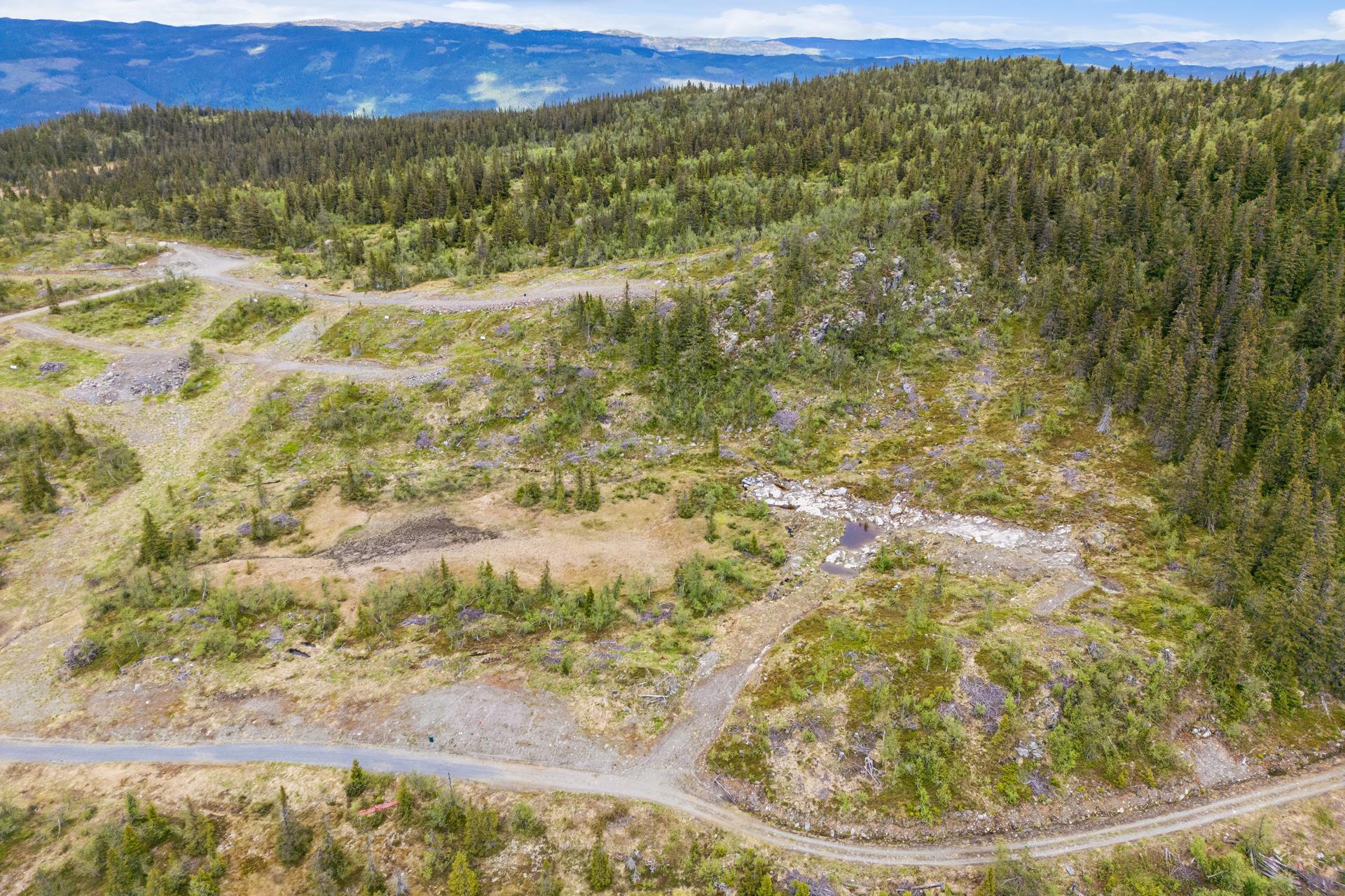 Tomt beliggende i Sør-Aurdal, et område kjent for sitt omfattende nettverk av preparerte skiløyper.. Bilde nummer 3 av 3