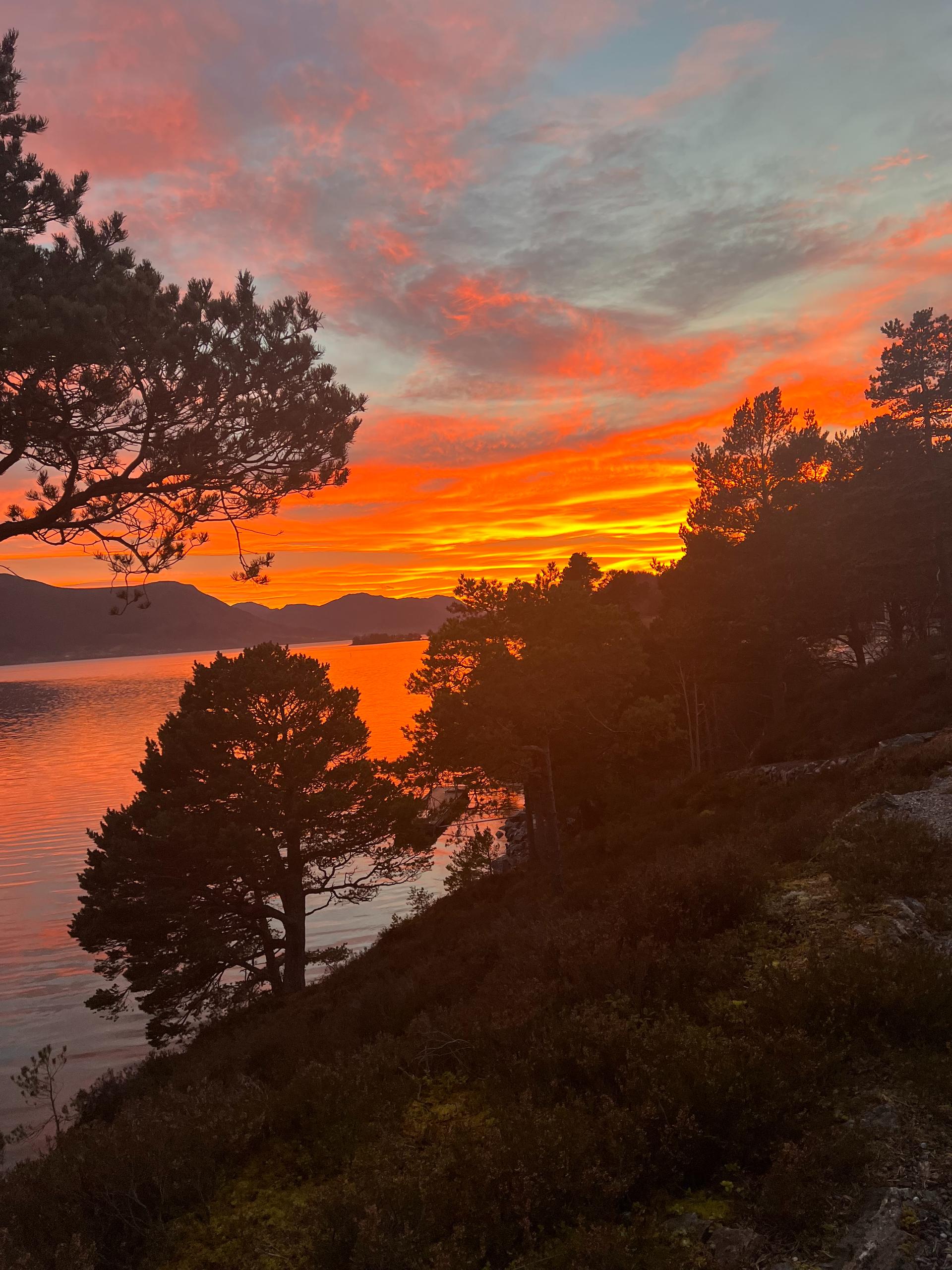 Utsikt. (Selgers eget bilde). Bilde nummer 3 av 3